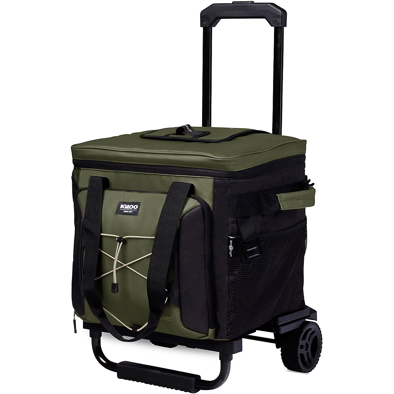 Igloo MAXCOLD 40 Quart Collapsible Roller Cooler - Forest Green