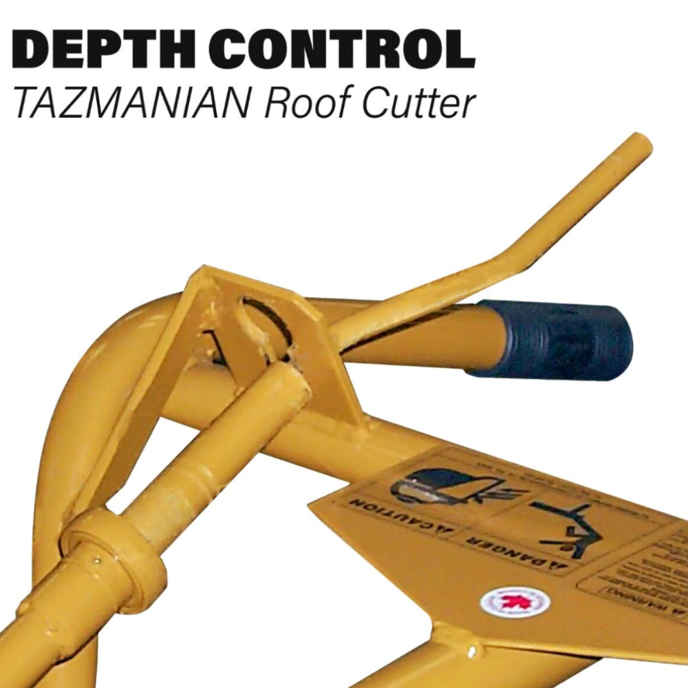 ASE Tazmanian Roof Cutter W/13 HP Honda